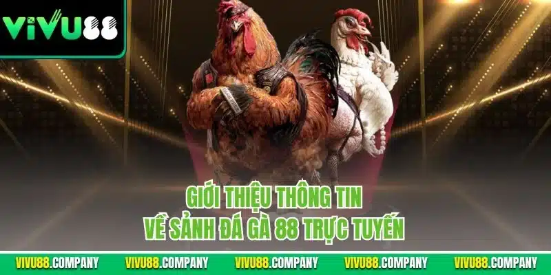 Giới thiệu thông tin về sảnh đá gà 88 trực tuyến