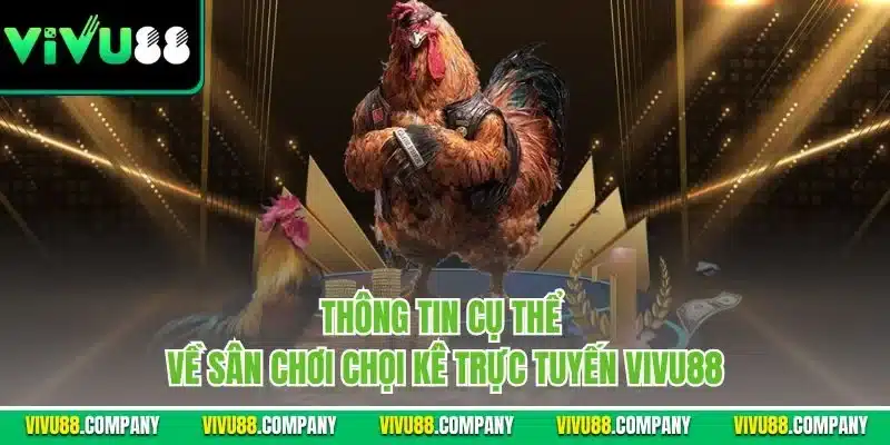 Thông tin cụ thể về sân chơi chọi kê trực tuyến Vivu88