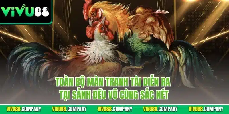 Toàn bộ màn tranh tài diễn ra tại sảnh đều vô cùng sắc nét