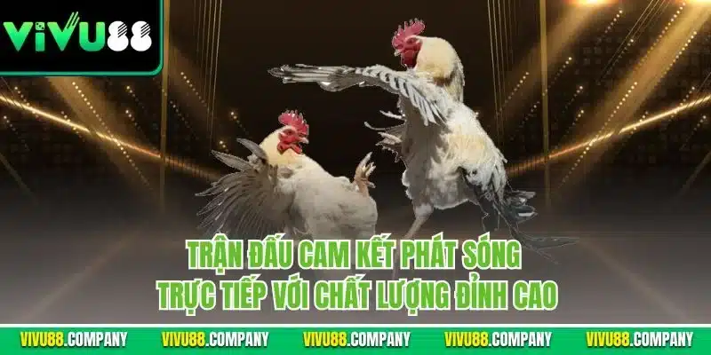 Trận đấu cam kết phát sóng trực tiếp với chất lượng đỉnh cao
