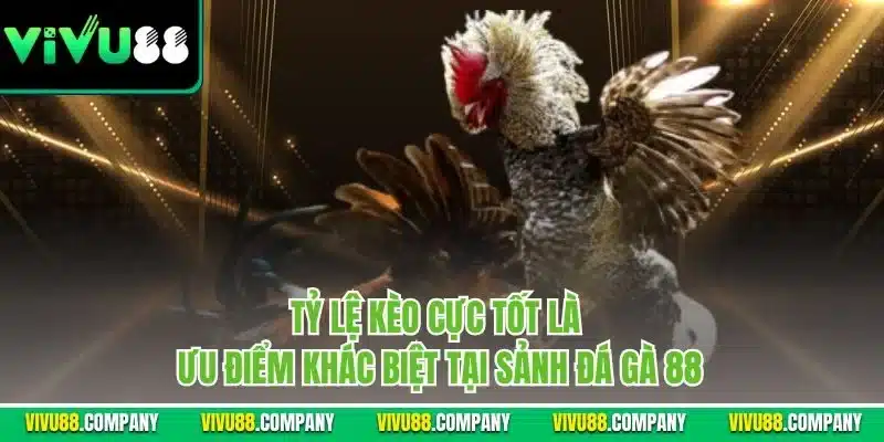 Tỷ lệ kèo cực tốt là ưu điểm khác biệt tại sảnh đá gà 88